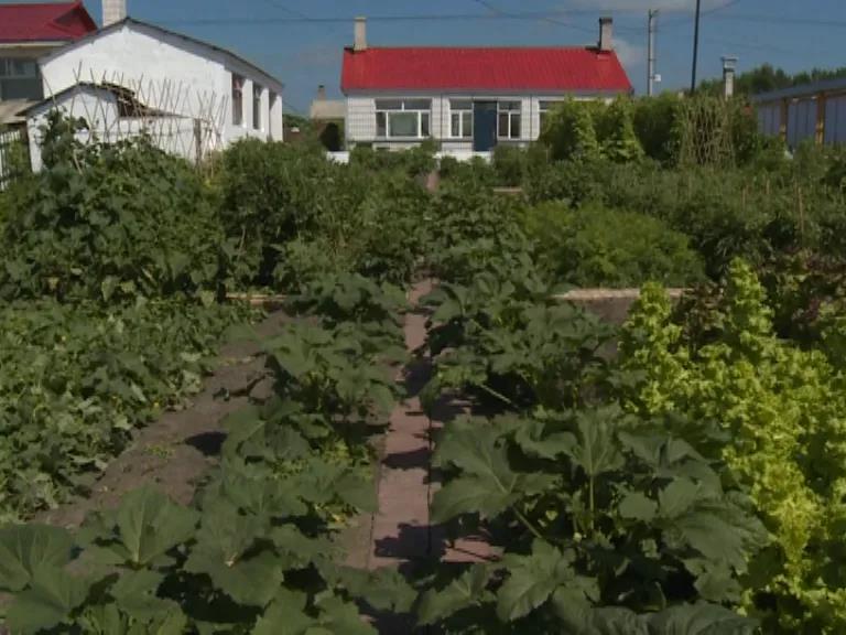 1628295522922035004.jpg 2.jpg