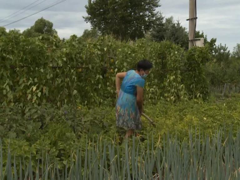 1628295530516023697.jpg 3.jpg