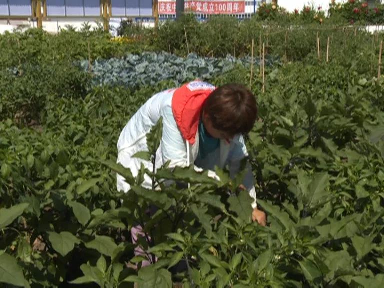 1628295545154015044.jpg 5.jpg