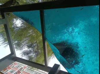 1630023954909019386.jpg 8.jpg