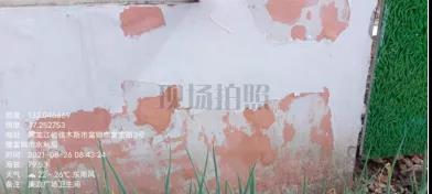 1630024043998032814.jpg 21.jpg