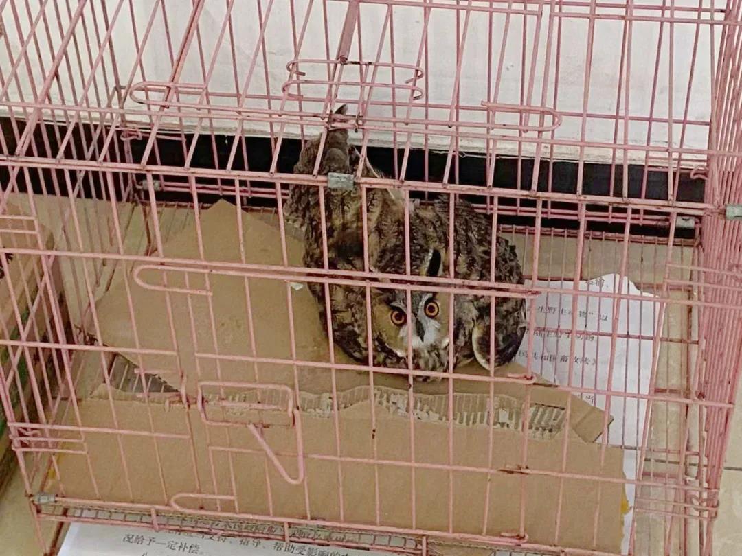 1632961483175020322.jpg 3.jpg