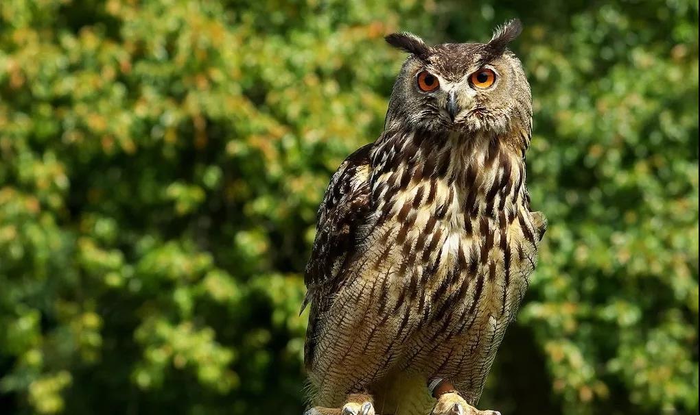 1632961492672001439.jpg 4.jpg