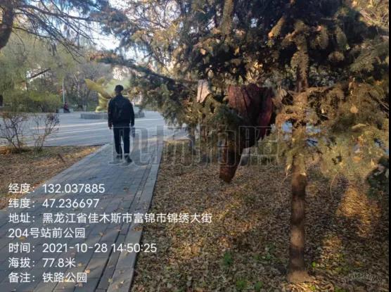 1635467864009004031.jpg 7.jpg