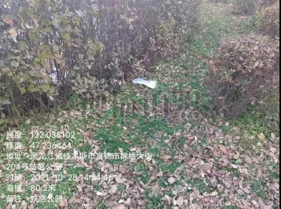 1635467896069051495.jpg 8.jpg