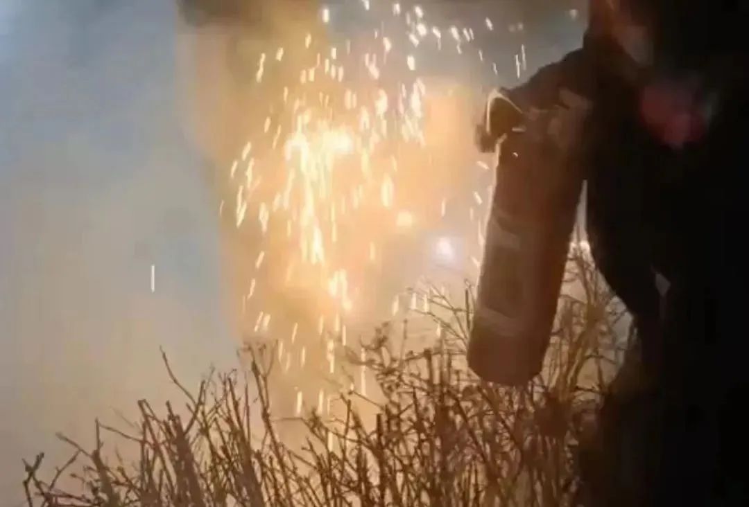 1649549660415083785.jpg 1.jpg