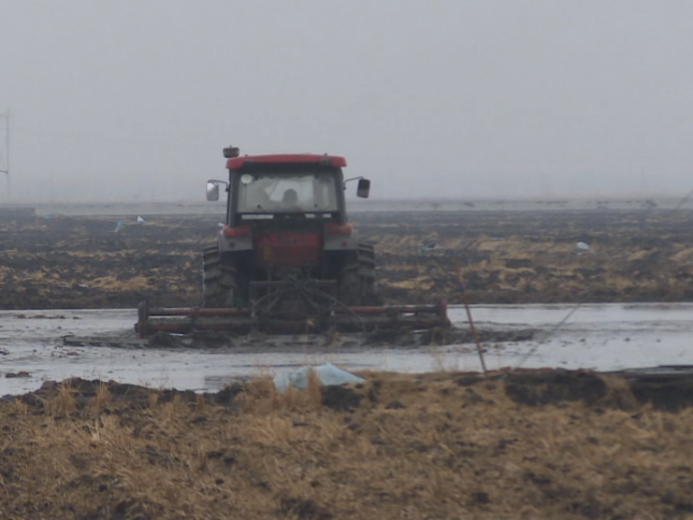 1651019600436015954.png 3.png