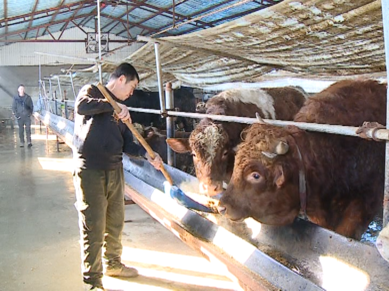 1651710382690010457.png 1.png