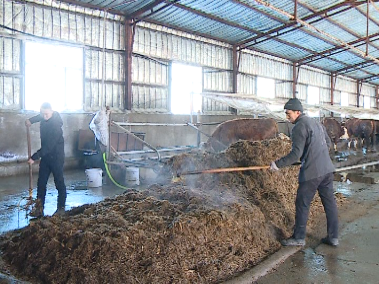 1651710395657012587.png 2.png