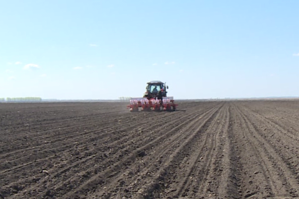 1653007669505025614.png 1.png