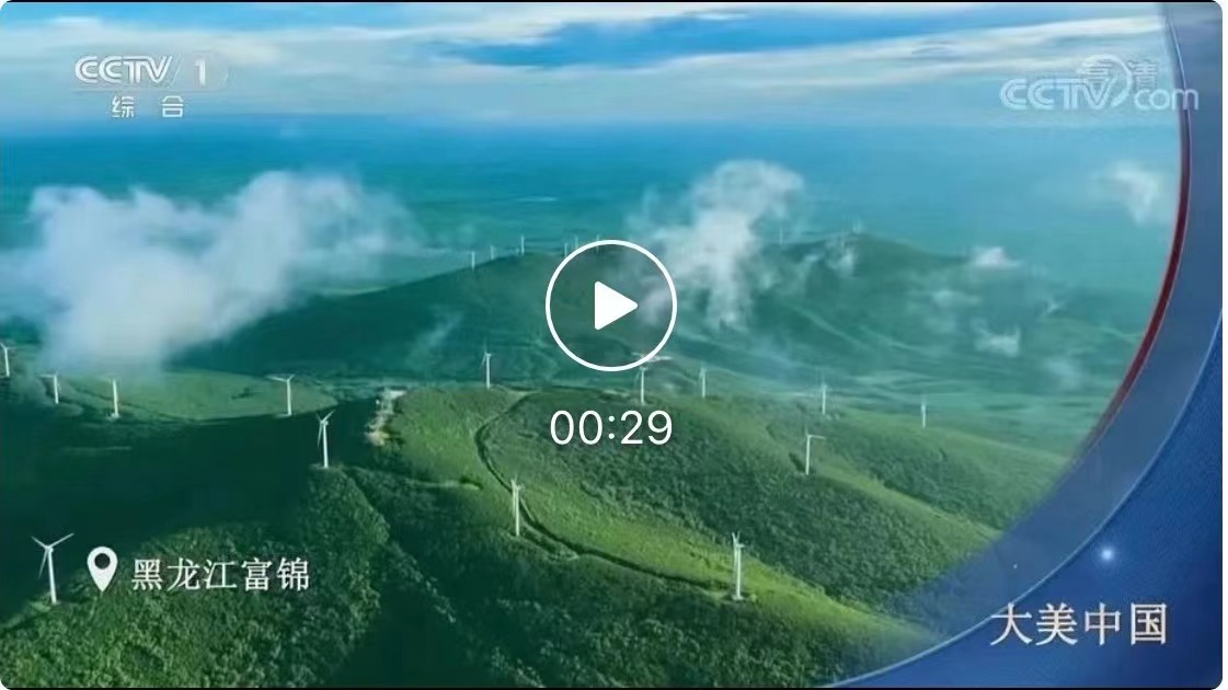 图片 11.png