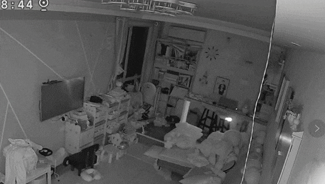 2.gif