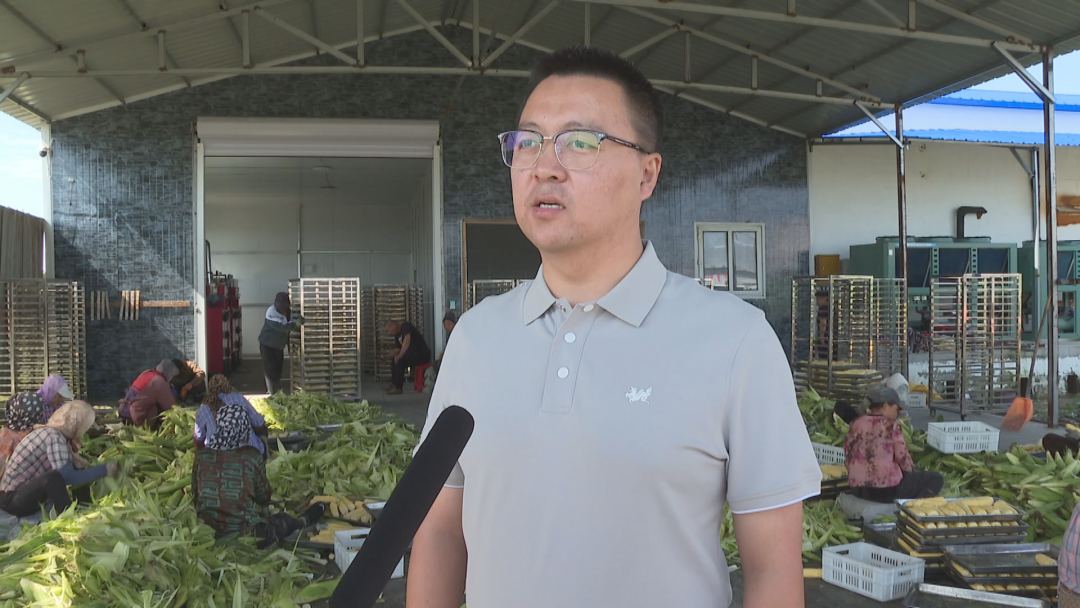 1758266222292000568.png 06.png