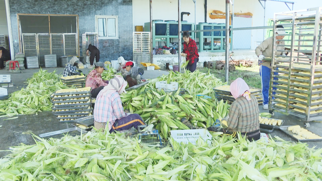 1758266232094020216.png 04.png