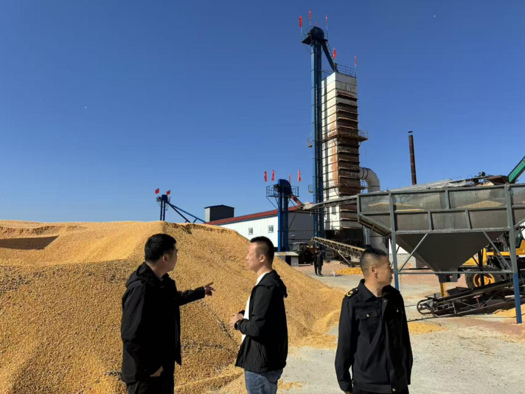 1760428488393074597.png 02.png