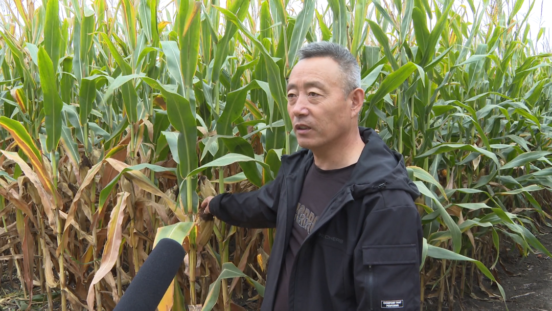 1760940323338081984.png 04.png