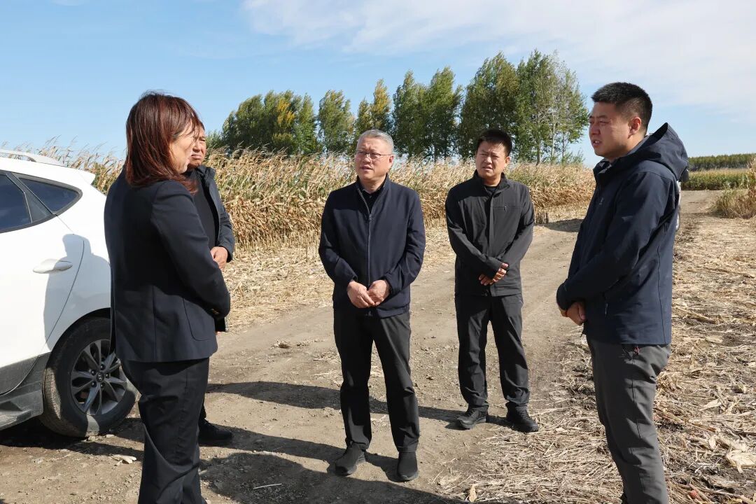 1759976125771090471.jpg 02.jpg