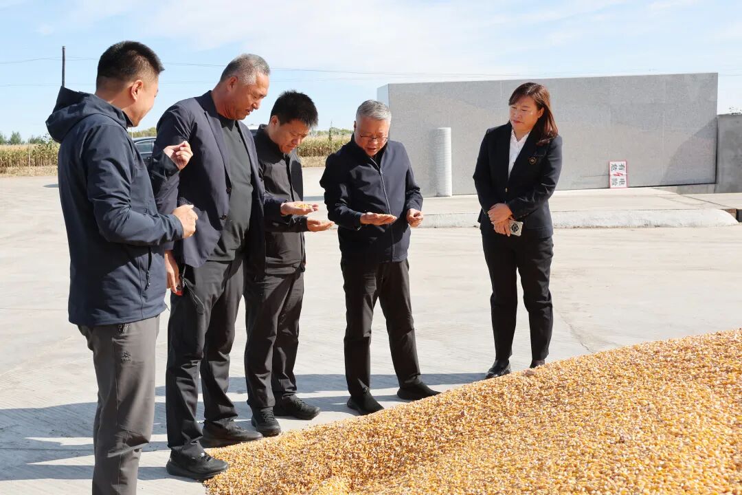 1759976129411071215.jpg 01.jpg