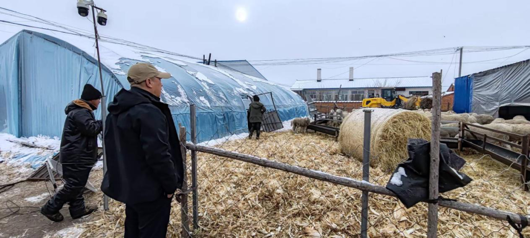 1764723819274059696.png 3.png