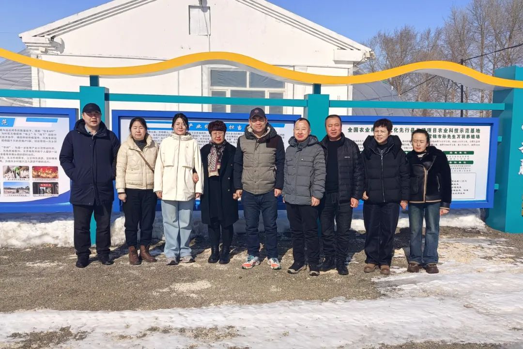 1741765352603010999.jpg 10.jpg