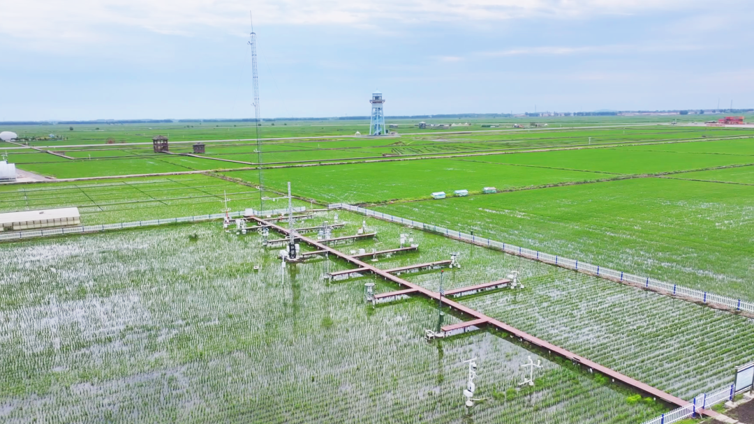 1751271276586000732.png 1.png