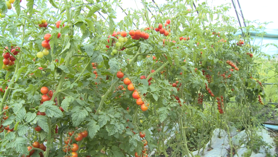 1755671338980093556.png 4.png