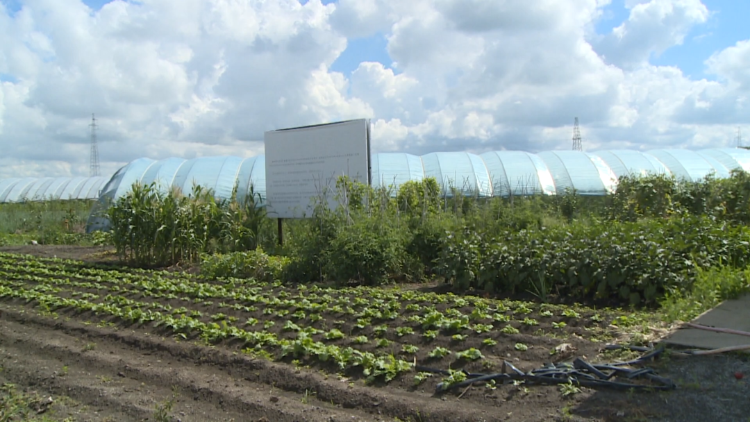 1755671349710042762.png 1.png