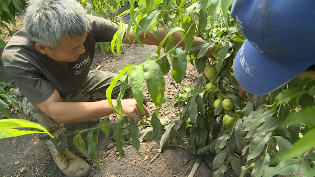 1755671351022028066.png 2.png