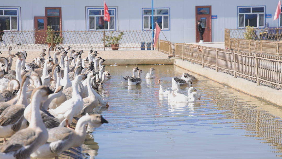 1761211364408044587.png 3.png