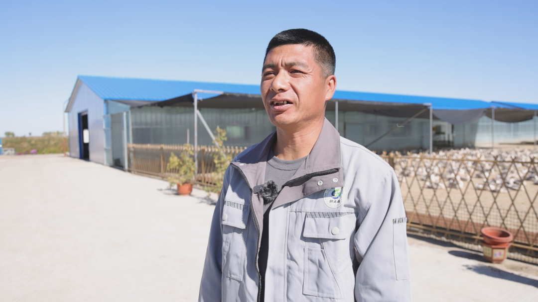 1761211365713012361.png 4.png