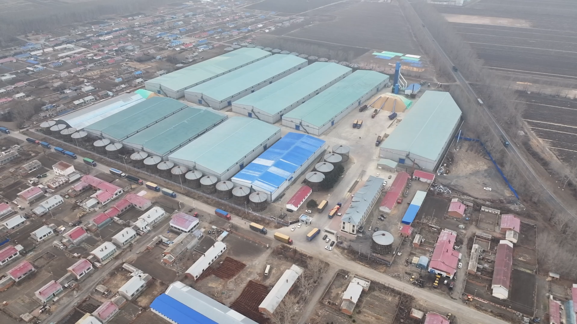 1733797932893057176.png 01.png