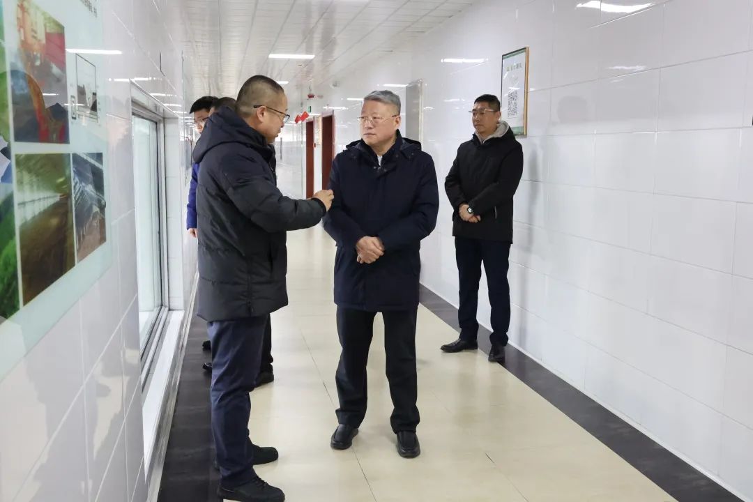 1739512159162078048.jpg 4.jpg