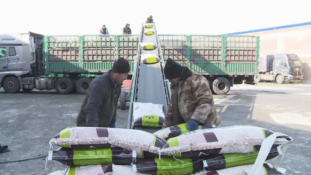 1741765245198098805.png 003.png