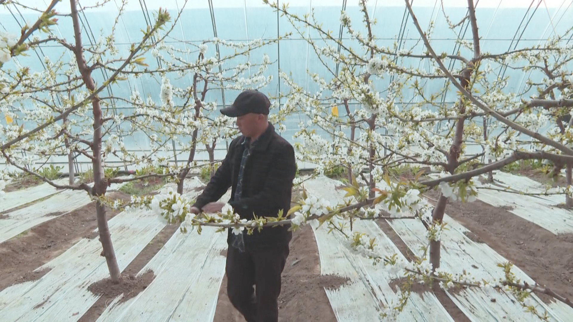 1744356515687021810.png 1744356515687021810.png