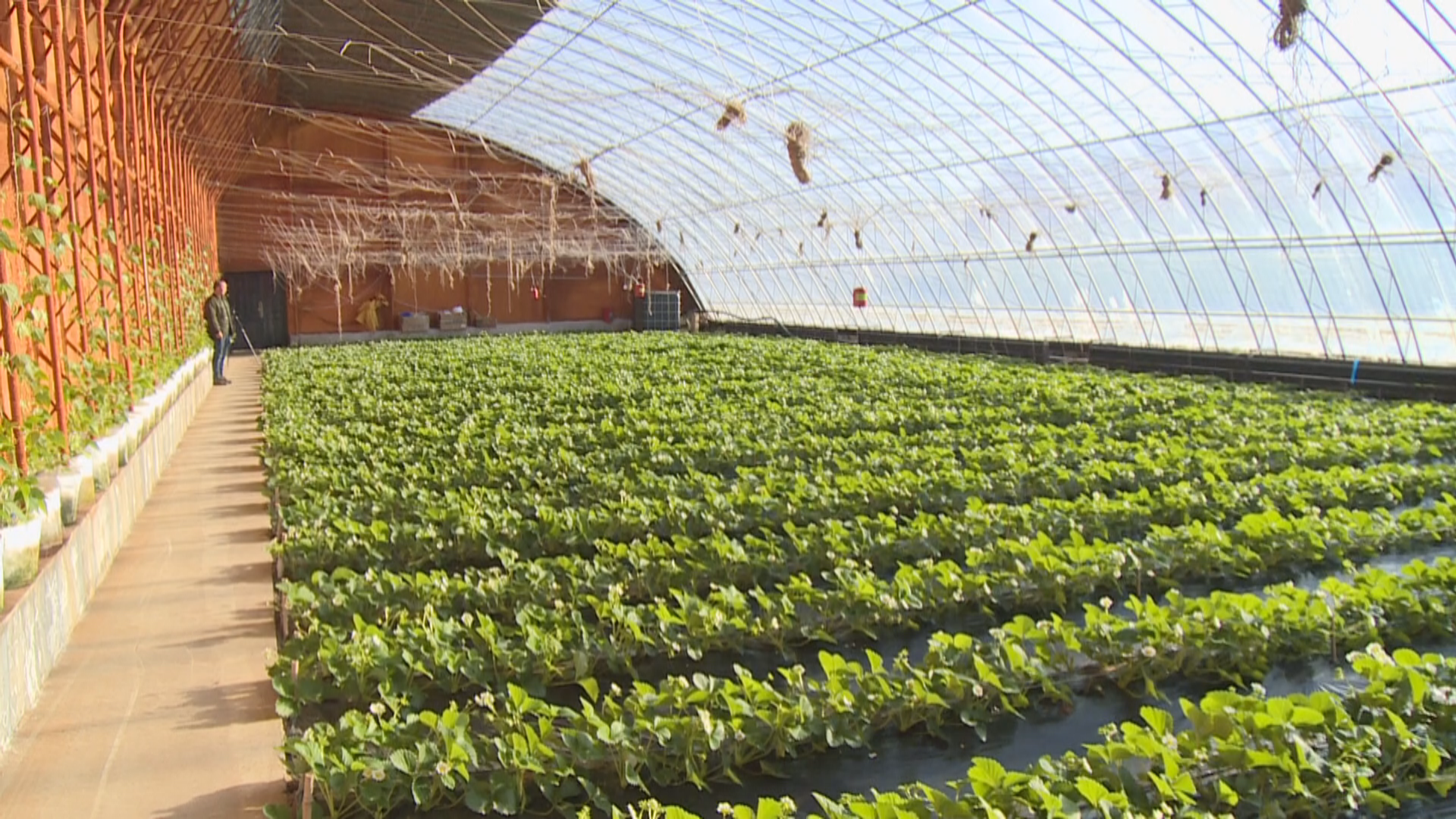 1744356534062058971.png 1744356534062058971.png