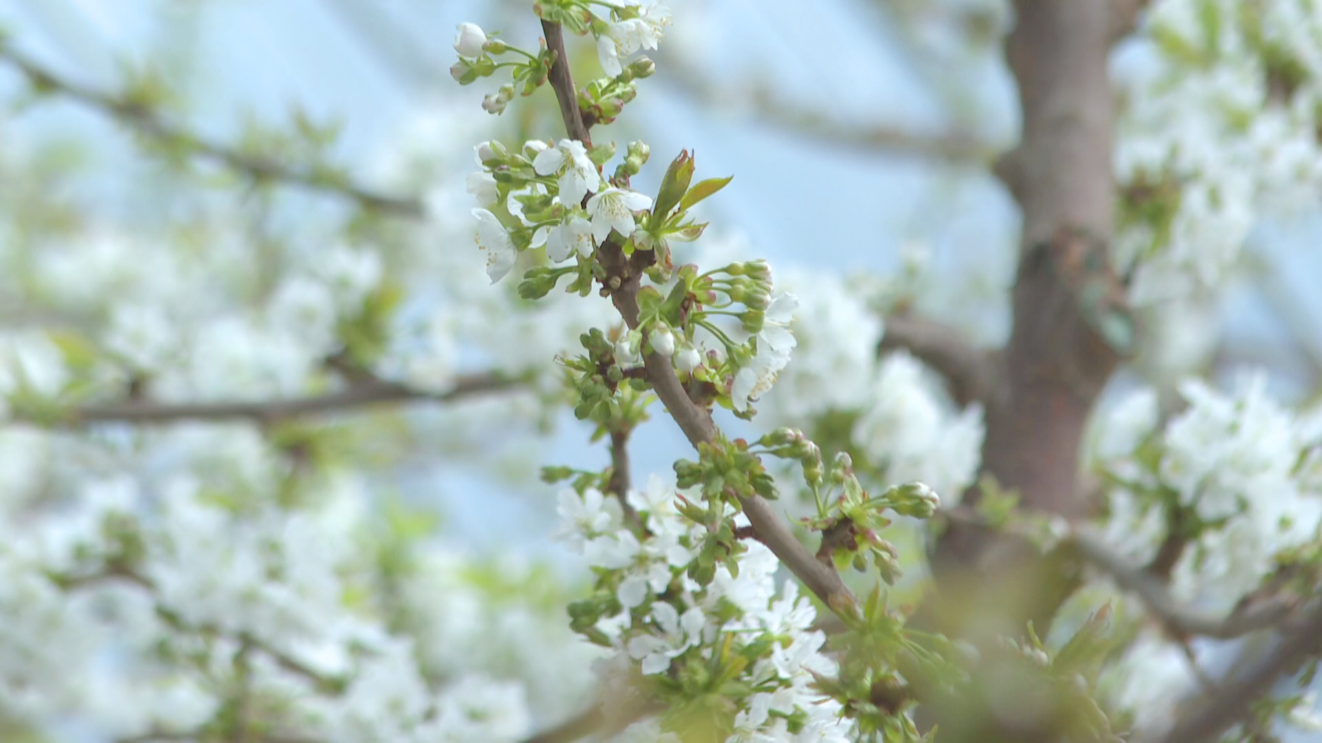 1744356551025064075.png 1744356551025064075.png