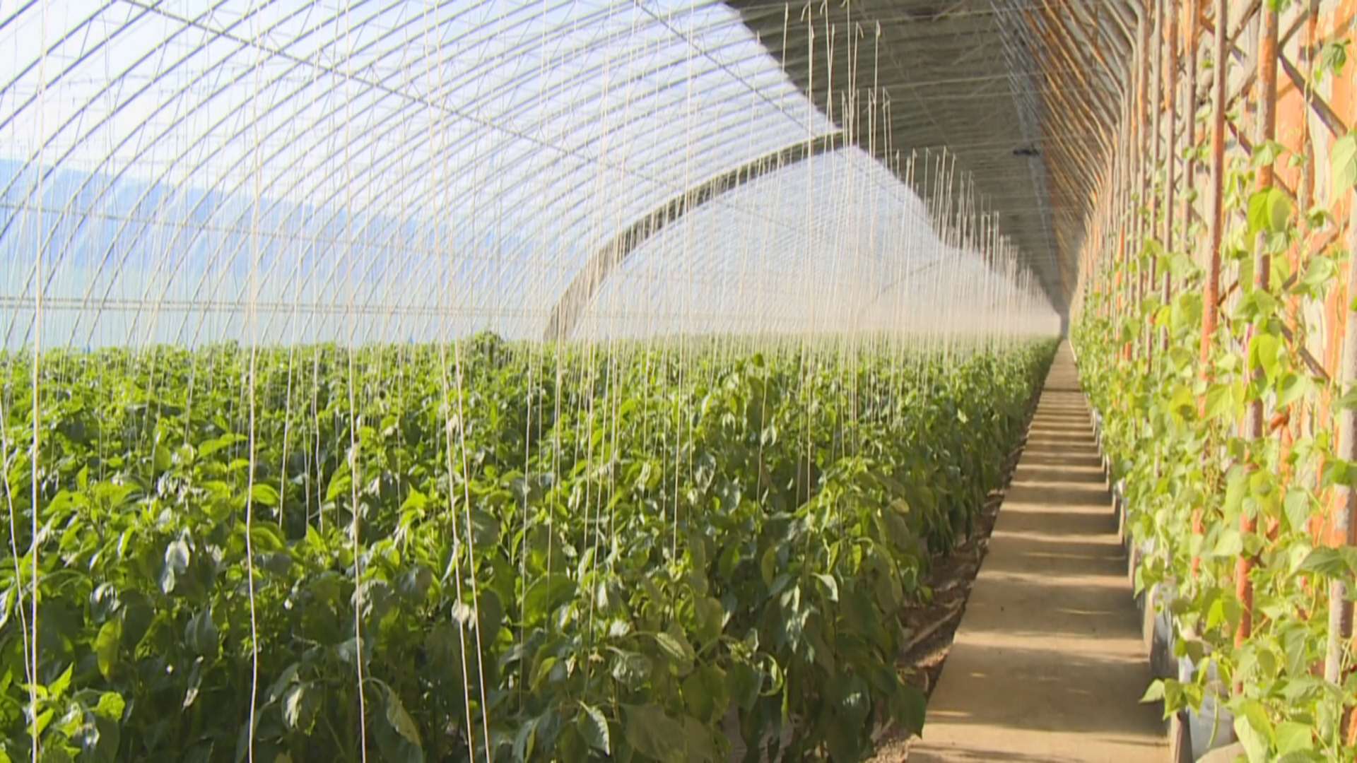 1744356585033025039.png 1744356585033025039.png