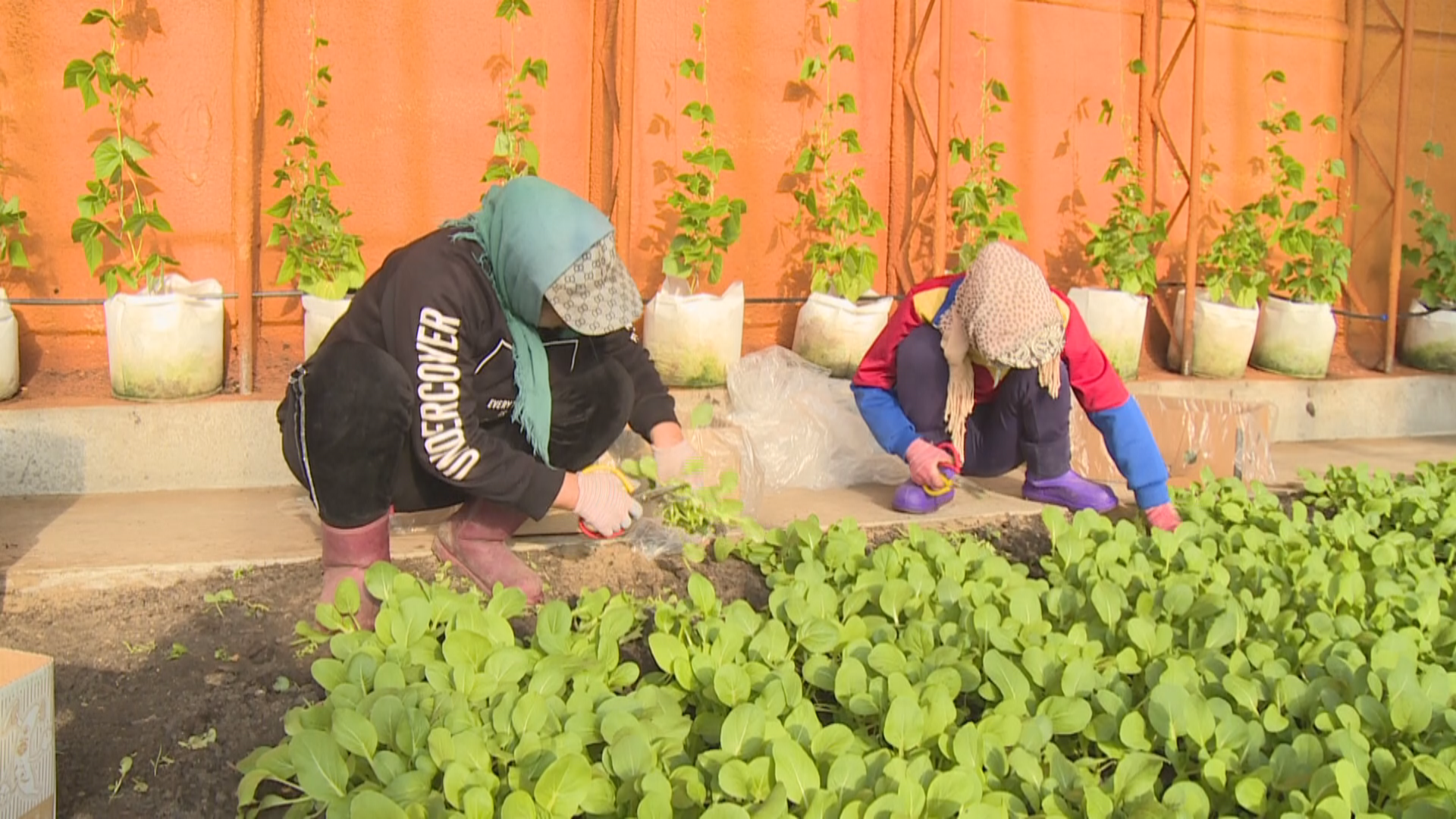 1744356602054046218.png 1744356602054046218.png