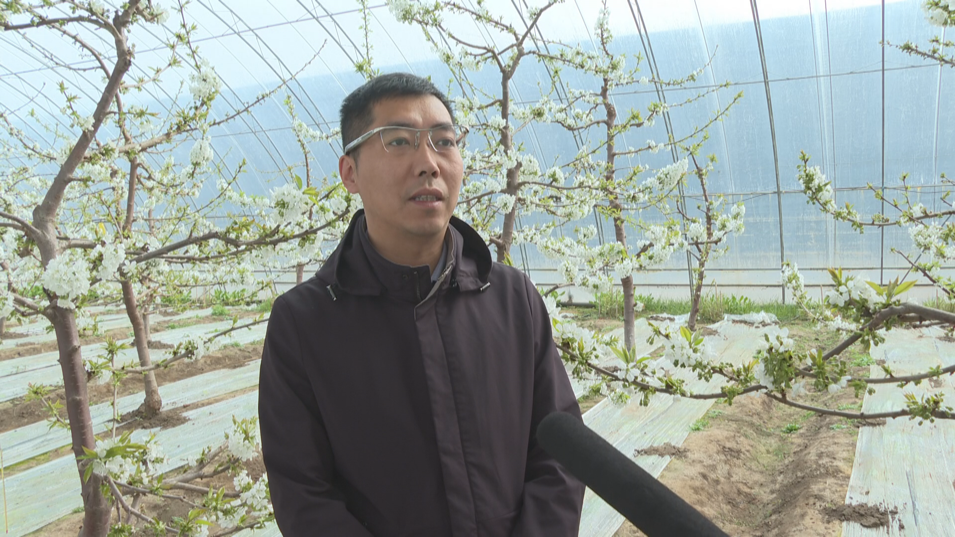 1744356620574064839.png 1744356620574064839.png