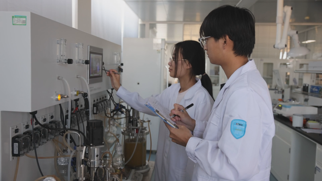 1761212137713081996.png 12.png