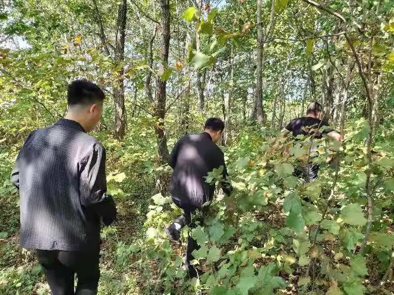 1630716369595081836.jpg 3.jpg