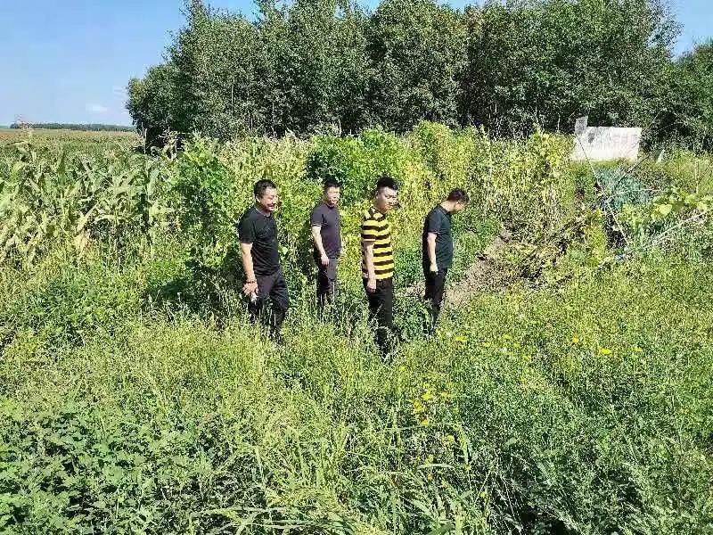 1630716376276049705.jpg 4.jpg