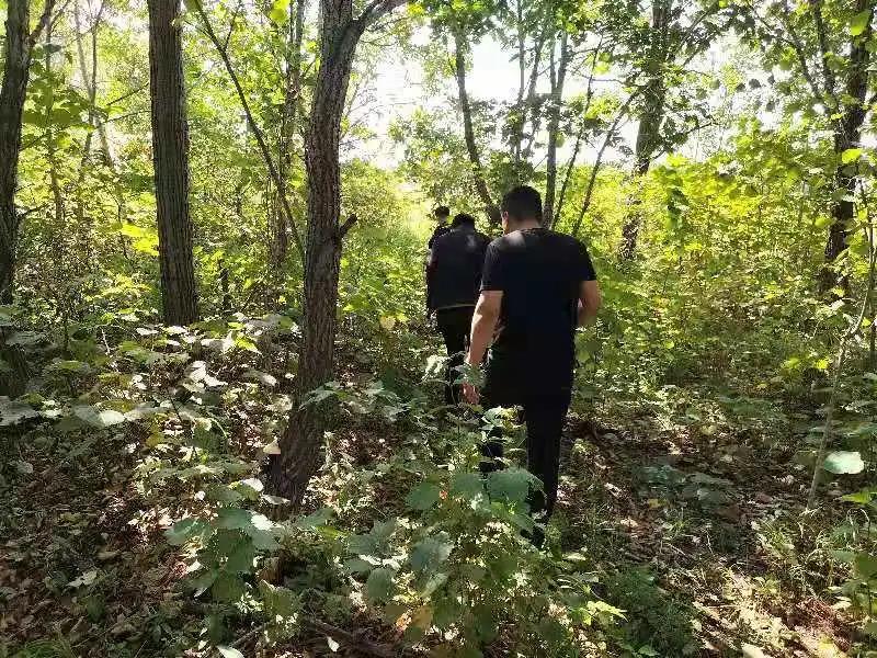 1630716388722009706.jpg 6.jpg